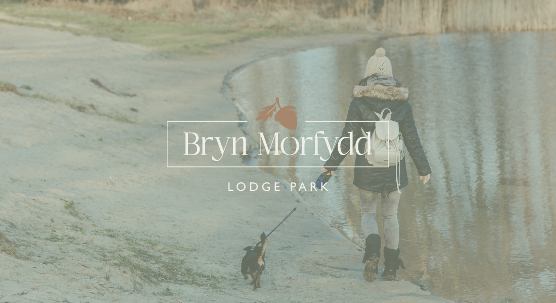 Dog-Friendly Walks Near Bryn Morfydd Lodge Park